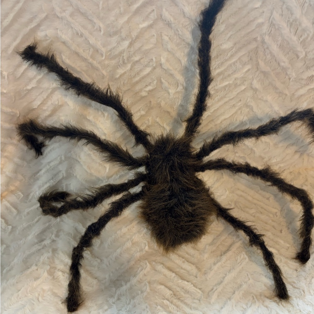 Furry Black and Brown Spider Decor